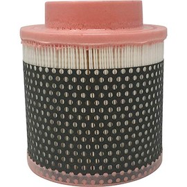 Gardner Denver ZS1060578 Replacement Filter, OEM Equivalent