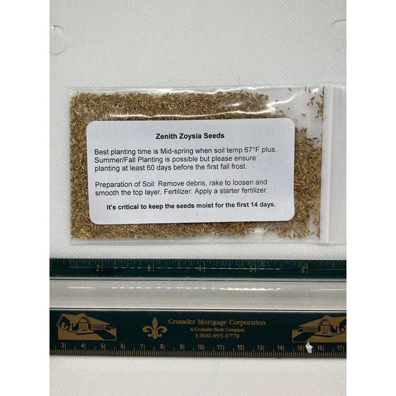 Edward (4 Pack) Zenith Zoysia Grass Seed – More Than