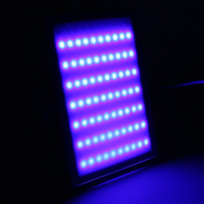 Photon Skin Rejuvenation Machine Red Blue Light Therapy Acne Removal