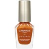 Canmake Colorful Nails N100 Friendship Bracelet, 0.3 fl oz (8