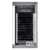 Eyelash Extensions 0.15mm Thickness D Curl Length 12mm Silk Mink