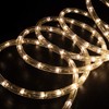 WYZworks 20 feet Warm White LED Extendable Rope Lights -