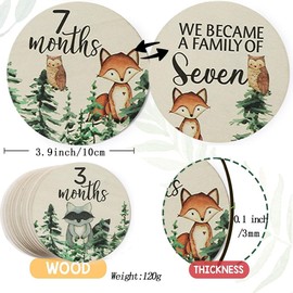 12 Packs Wooden Baby Monthly Milestone Cards, Baby Monthly Milestones for Newborn Baby Gifts,1-12 Months Wooden Discs with Baby Announcement Sign, Pregnancy Baby Shower Gifts for Christmas New Year