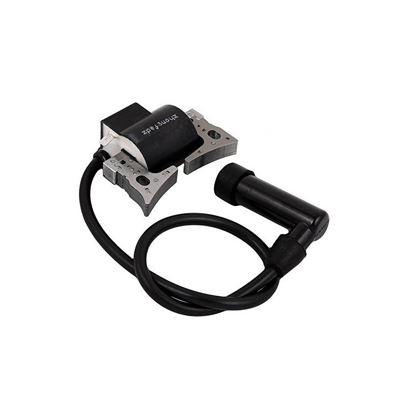 Ignition Coil for Robin Subaru Engines Motors EX13 EX 13