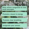 MOXĒ Eucalyptus Essential Oil Nasal Inhaler, Sinus & Congestion Relief,
