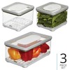 iDesign Small and Large Fridge Produce Bins with Removable Drainage