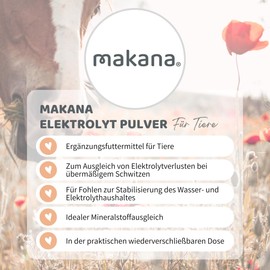 Makana Electrolyte Powder Single Pack 1 x 1 Kg