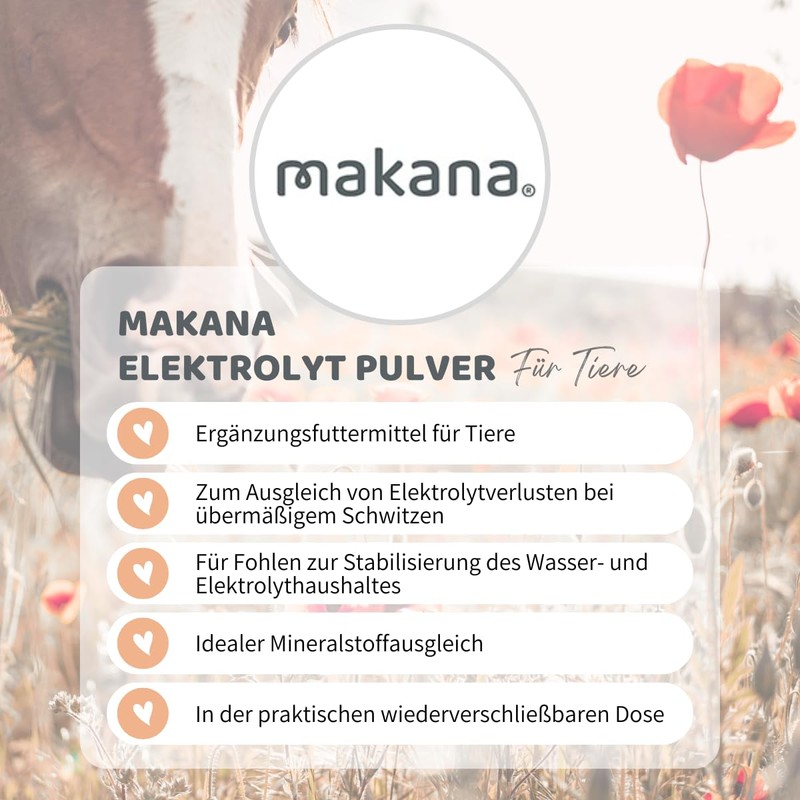 Makana Electrolyte Powder Single Pack 1 x 1 Kg