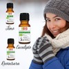 EukalyptusÖl - ThymianÖl - Ravintsara Öl Bio Set Ätherisches Öl
