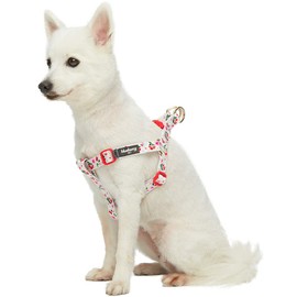 Blueberry Pet Step-in Cherry Garden Grey Dog Harness, Chest Girth 26" - 39", Large, Adjustable Harnesses for Dogs