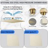 GGStudy Rain Shower Head Brushed Gold with Extension Arm 16