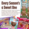R.M. Palmer Small Mesh Bag Premium Milk Chocolate Coins, Gold