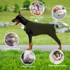 MHaustlie Dog Recovery Suit for Hind Legs, Anti Licking Dog