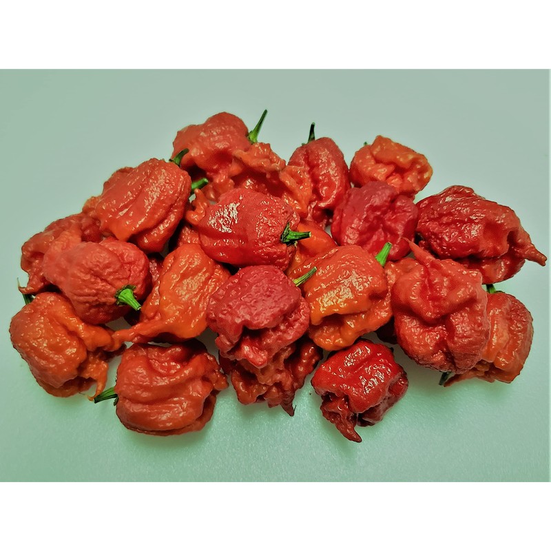 Dragons Breath 5+ Dried Peppers