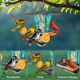 LUJII 6-in-1 Solar Bird Feeder with RGB String Lights, Hand Blown Glass, 2 Removable Trays for Bird Seed, Suet Ball, Mealworm, Oriole Orange Fruit, Jelly or Water, Teal