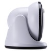 LIGHT IT! by Fulcrum 16-LED Motion Sensor Security Light, Battery