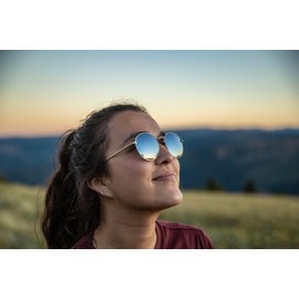 Suncloud Unisex's Bridge City Sunglasses, Gold/Polarized Brown Gradient, One Size