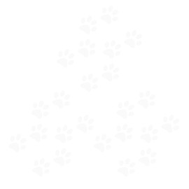 GALPADA Pack of 24 Cat Paws Car Stickers Car Decorative Stickers for Bodywork Funny Cats Footprints Weatherproof and Durable for Car Decoration