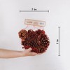 Cinnamon Scented Pinecone Bag (2-Pack)