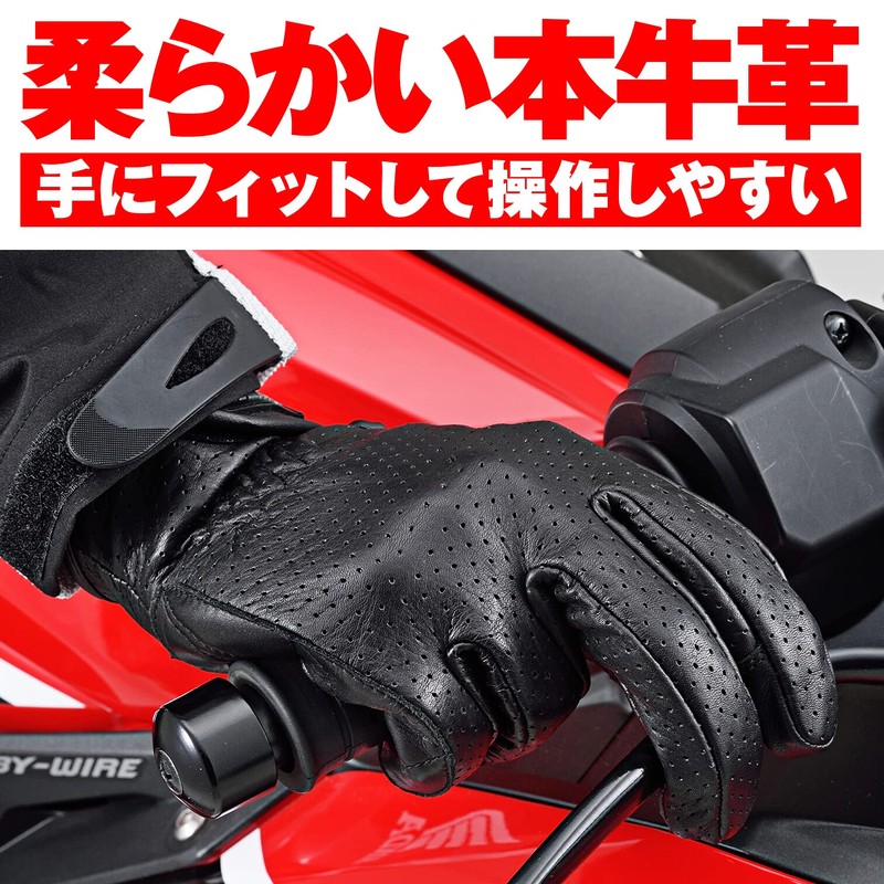 Daytona 18902 Motorcycle Gloves, Spring, Summer, Autumn, Genuine Leather (Cow