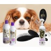 #1 All Systems Professional Grooming Kit for Cavalier King Charles