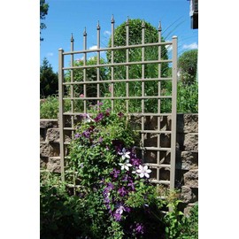 Dura-Trel 11174M Winchester Trellis, Mocha