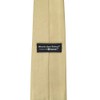 tiemart Solid Color Necktie (Sparkling Champagne)
