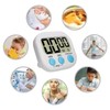 3 Pack Digital Kitchen Timer for Cooking Big Digits Loud