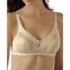 Collections Etc 2-Pack Instant Shaping by Plusform Keyhole Bra 42A