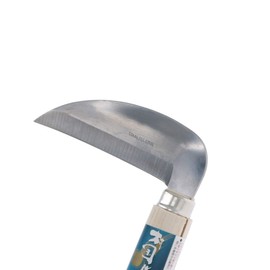 Takagi Small Sickle Stainless Steel 4.7 inches (120 mm) Murakuni Garden Weeding for Home Vegetable Gardens, Rust-resistant Stainless Steel Blade, Takagi