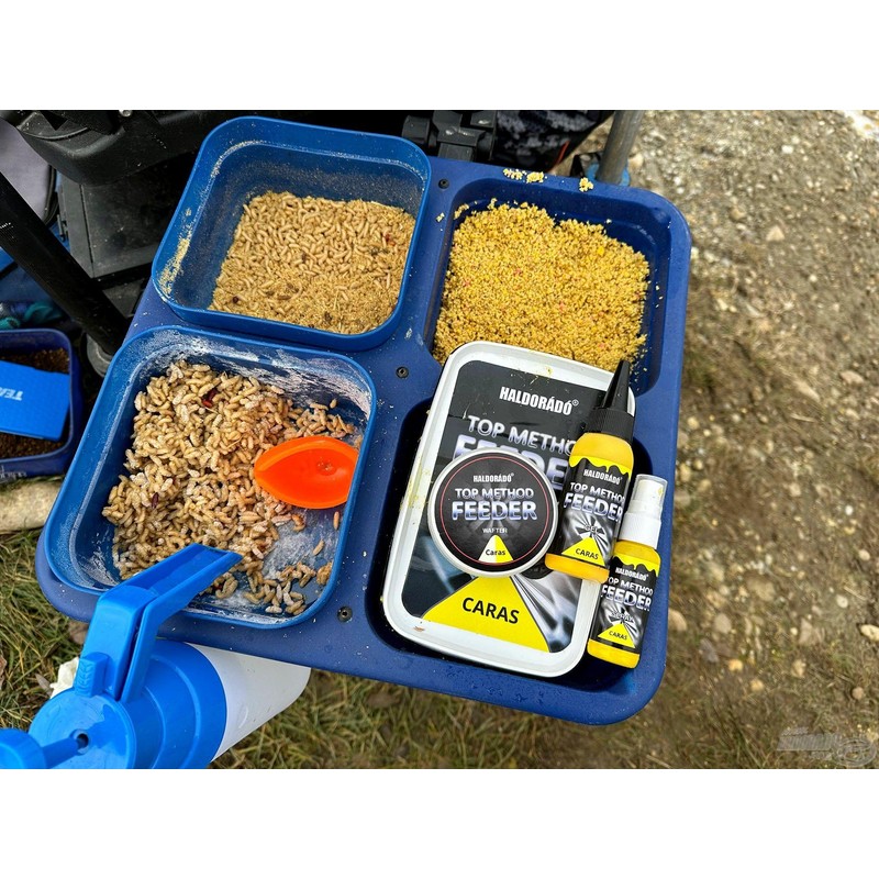 Haldorado Top Method Feeder Fishing Wafter - CARAS, Flavour: Spicy