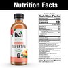 Bai Narino Peach Tea, Antioxidant Infused Tea, 18 Fl Oz