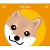 Staring Shiba [Red] Shiva Dog Sticker Orange Back Ver.2 MK-2