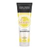 John Frieda Sheer Blonde Go Blonder Lightening Shampoo, 8.3 Ounces