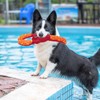 PUPTECK Dog Water Pool Floating Toys - 2 Pack Squeaky