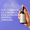 Aveda Chakra 7 Balancing Pure-Fume