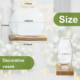 CHPINDAM Propagation Vases for Plants - Glass Terrarium Planter with Wooden Stand, Small Desktop Oblate Hydroponic Propagation Vases for Modern Home & Office Decor (2)