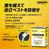 Nippon Shinyaku WINZONE Energy Hybrid (15 bottles) Hydroxycitric Acid Energy