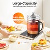JAYGOVAN Health Pot Electric Kettle Tea Maker with Tea Infuser