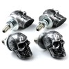 Bashineng Skull License Plate Screws Universal Car Truck Motorcycle License