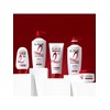 [SSG Exclusive Composition] L’Oreal Paris Total Repair 5 Miracle Hair