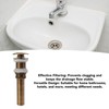 Pop Up Sink Drain Vintage Sink Vessel Drain Stopper Plant