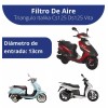 FORTEMAX Filtro De Aire Fortemax Triangulo Italika Cs125 Ds125 Vita