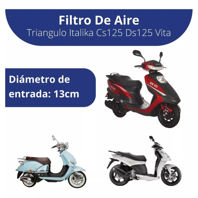 FORTEMAX Filtro De Aire Fortemax Triangulo Italika Cs125 Ds125 Vita