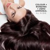 Clairol Colour Strong Permanent Hair Dye - 4.63 Sunset Mauve