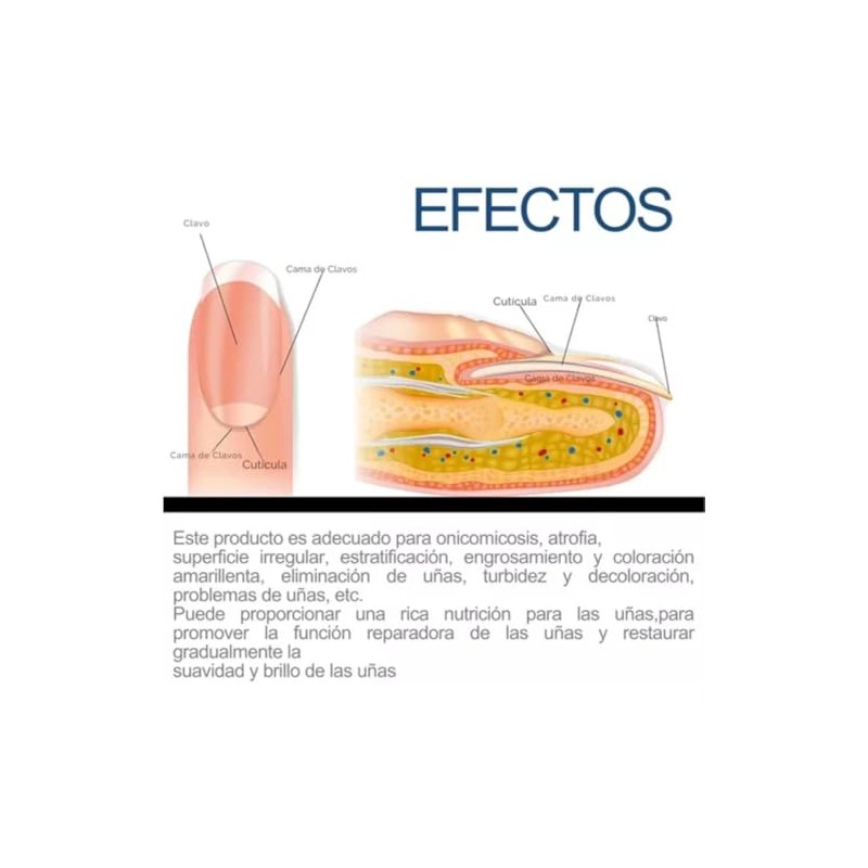 32 Parches de Extracto de Hierbas + 1 Pluma de