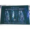 Blair Witch Postcards (Matte Paper)