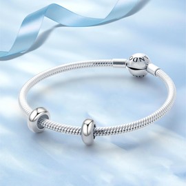 Ruaidhra Sterling Silver Charms Pendant, Infinity Friendship Family Heart Charms, Charms for Bracelet Necklace, Charm Clip Stopper Bead Charms for Women, Alloy Steel