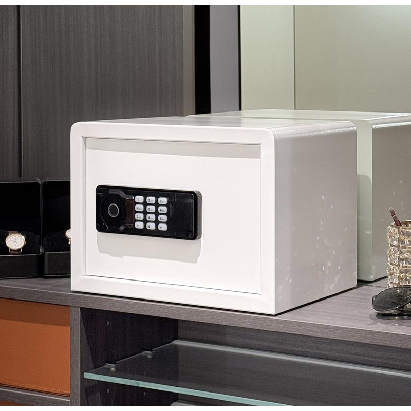 AEGIS Small Biometric Safe with Fingerprint Lock (9.9"D x 13.8"W