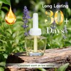 Plug Ins Refills Air Freshener 6 Pack